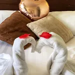 La Lucertola 4*